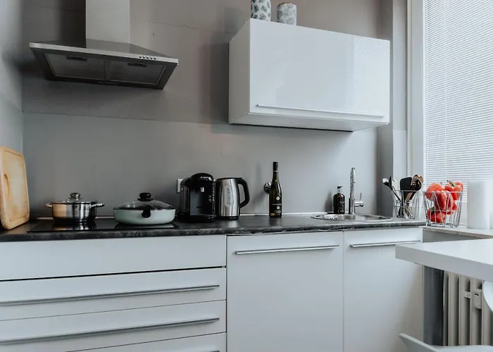 Lägenhet Stylisches City-apartment 83 M² Munster (North Rhine-Westphalia)